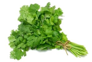Cilantro (paquete)