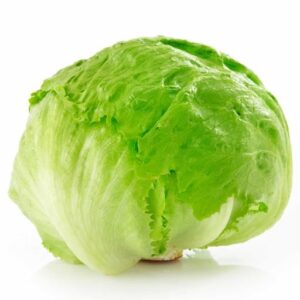 Lechuga Escarola