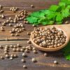 Semilla de Cilantro 250 g.
