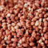 Maní Confitado Natural 250 g.