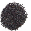 Semilla de Mostaza Negra