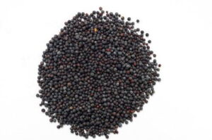 Semilla de Mostaza Negra