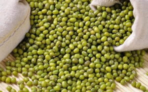 Poroto Mung 500 g.