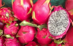 Pitahaya Kg.