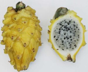 Pitahaya Kg. - Imagen 2