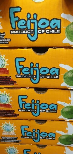 Feijoa kg. - Imagen 2
