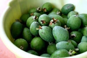Feijoa kg.