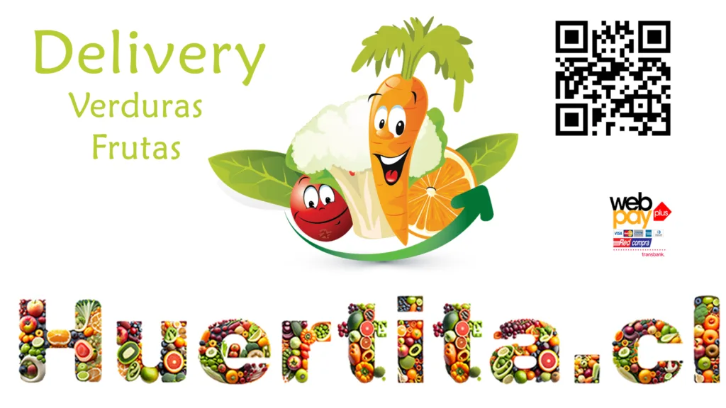 Frutas y verduras a domicilio Huertita.cl Huertita.cl Frutas y verduras a domicilio