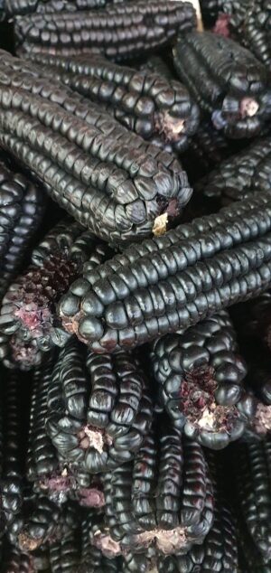 Maíz morado 500 g.